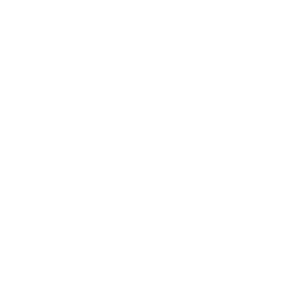 Développement de Solutions Numériques