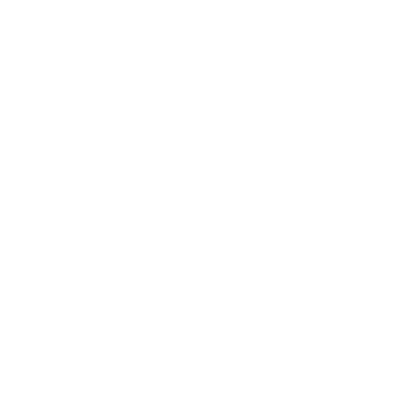 Conseil en Stratégie Numérique