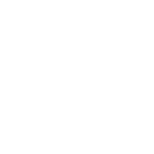 Formation et Renforcement des Capacités