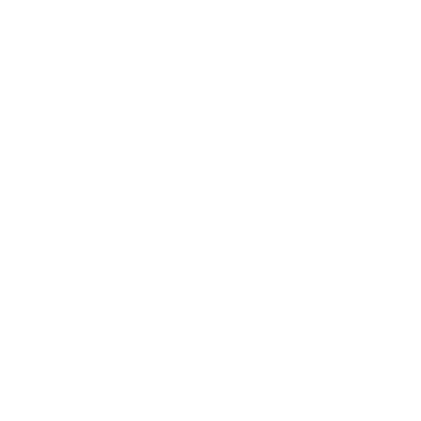 Cybersécurité et Protection des Données